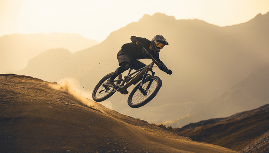 geschichte fahrrad freeride