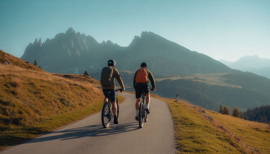 geschichte fahrrad rad slowak